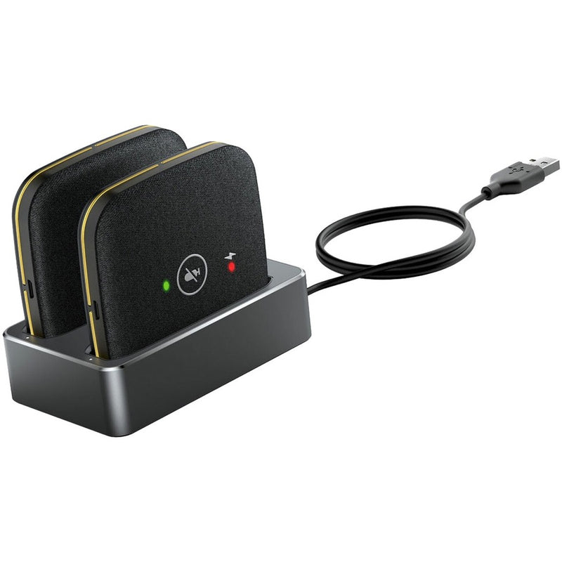 CPW65-DECT-DUO, WIRELESS EXPANSION MIC. AUDIO INPU