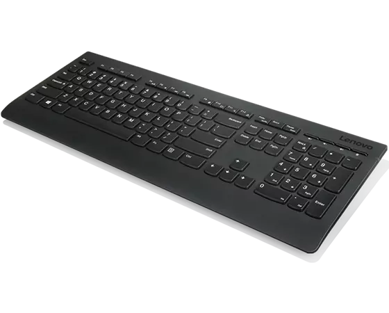 Lenovo Professional Wireless Keyboard and Mouse Combo