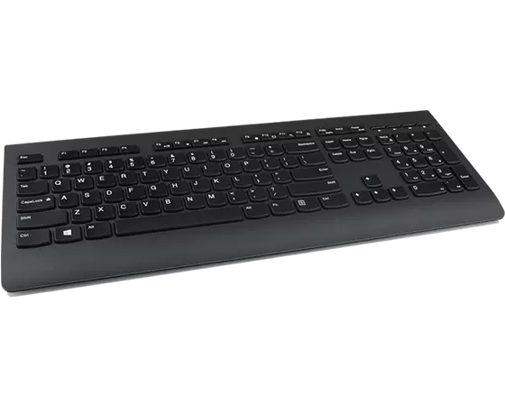 Lenovo Professional Wireless Keyboard - French Canadian(058)