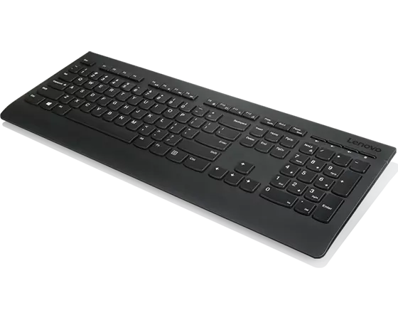 Lenovo Professional Wireless Keyboard - French Canadian(058)