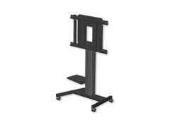 Fixed height mobile stand for use with ActivPanel