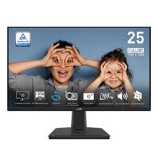Moniteur LED Full HD MSI Pro MP251 25 pouces - 16:9 