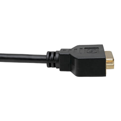 Tripp Lite P134-001-GC Adaptateur de câble DisplayPort vers DVI - M/F, noir, 1 pi