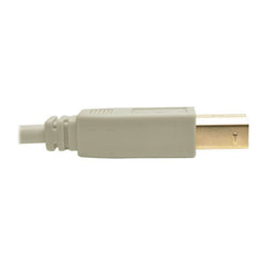 Tripp Lite by Eaton Câble USB 2.0 haute vitesse A/B (M/M), beige, 1,8 m
