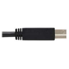 Tripp Lite USB Active Repeater Cable - USB-A to USB-B (M/M), USB 3.2 Gen 1, 25 ft. (7.6 m)